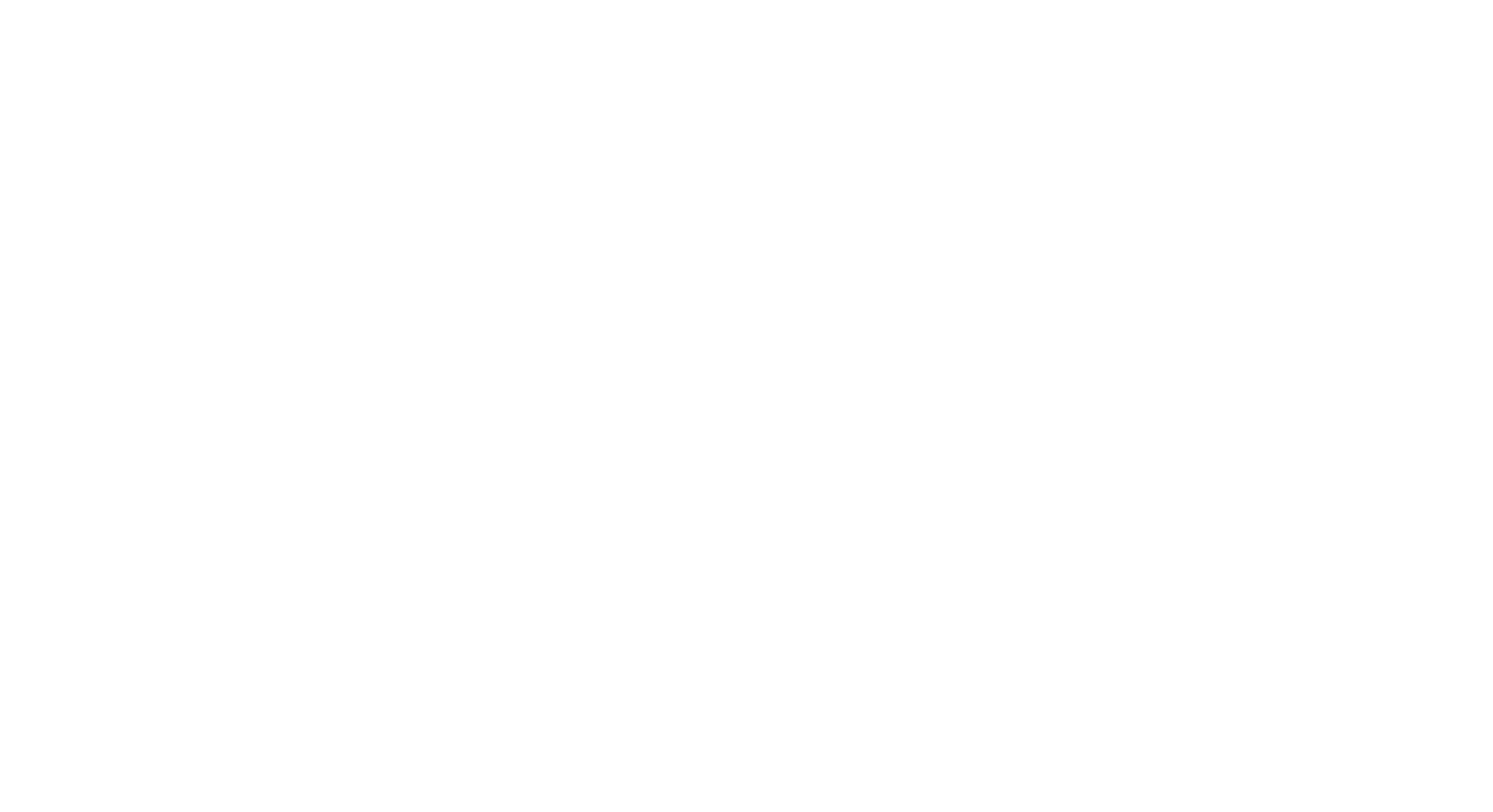 DR_Partners_Logo_1500wide_WHITE